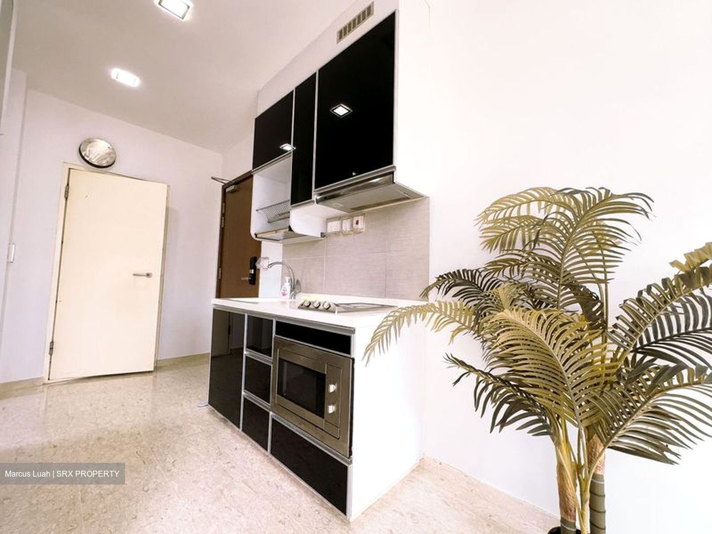 Cardiff Residence (D19), Condominium #563720411